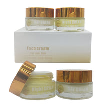Load image into Gallery viewer, Skin Lightening Bleaching Face Cream 2 IN 1 Day &amp; Night 25g+25g Cream for Dark Spot Removal with Moisturizing and Whitening
